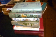 011-Assorted-Childrens-Books-inc-When-We-Were-Very-Young