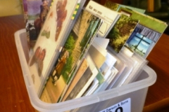 080-Collection-of-Postcards-Lucy-Mabel-Atwell-Army-etc