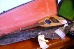 137-Mandolin-in-Case