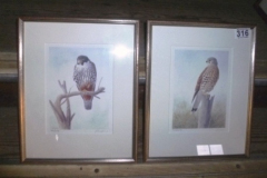 316-2-Framed-Ltd-Ed-Prints-of-a-Kestrel-and-Hobby