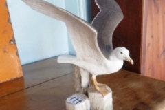0111-Great-Black-Gull-Franklin-Porcelain-Ltd-Edition