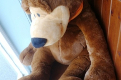 0119-Large-Benny-Bear