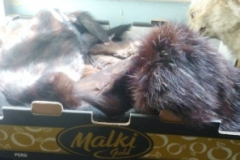 0151-Vintage-Fur-WrapsStoles