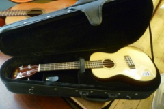 0259-Kala-Childs-Guitar-in-Case