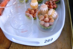 0269-Assorted-Novelty-Fruit-Candles