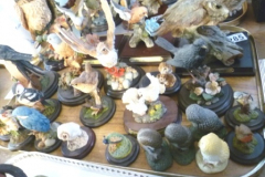0285-Selection-of-Model-Birds-on-Stands