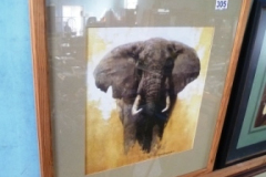 0305-David-Shepherd-Elephant-Print