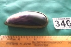 0346-Mussel-Shell-Snuff-Box
