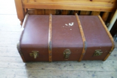 0420-Banded-Trunk