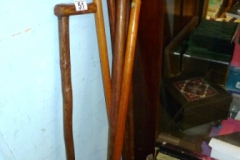 051-Walking-Sticks