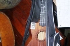 225-Ukulele