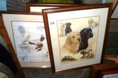 306-3-Framed-Prints-of-Dogs-by-Nigel-Hemmings