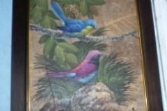 319-Framed-Picture-of-Birds