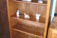 411-Squirrelman-Bookshelves