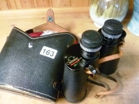 0163-Greenkat-Binoculars-in-Case