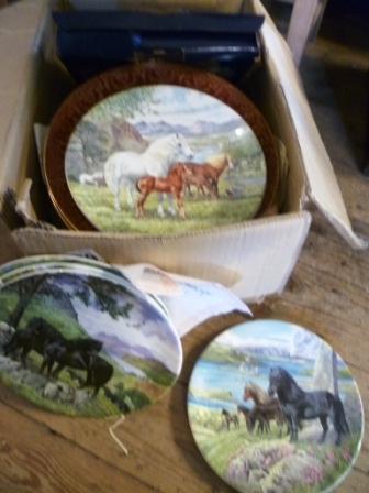 0269-Box-of-Assorted-Native-Pony-Picture-Plates-etc