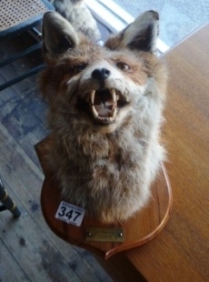 0347-Mounted-Fox-Mask-Lunesdale-Fox-Hounds-1976