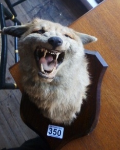 0350-Mounted-Fox-Mask