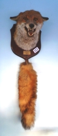 0353-Mounted-Fox-Mask-and-Brush-Hurworth-Hunt-1983