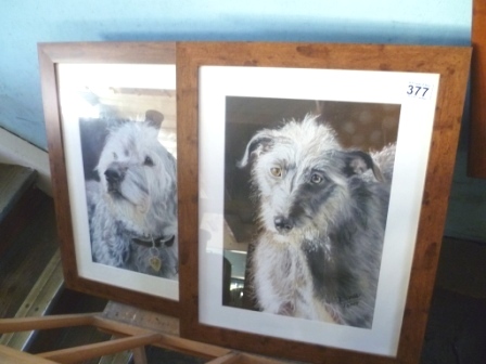 0377-Pair-of-Framed-Dog-Prints