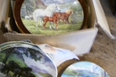 0269-Box-of-Assorted-Native-Pony-Picture-Plates-etc