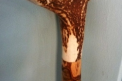 0330-Horn-Top
