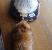 0352-Mounted-Fox-Mask-and-Tail-York-and-Ainsty-Hunt-1994