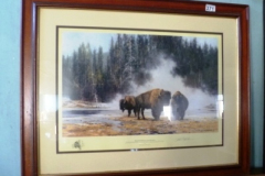 0371-Signed-Ltd-Ed-Print-by-David-Sheppard-Hot-Springs-of-Yellowstone